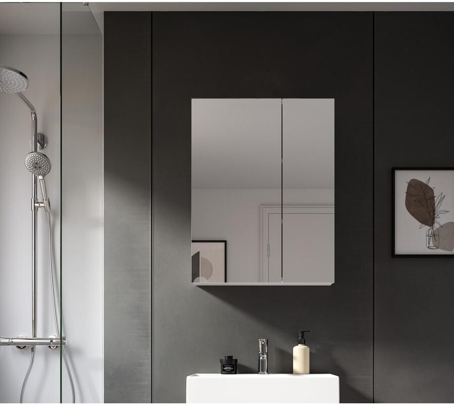 Welltime Spiegelkast BIEL TOPSELLER! breedte 60 cm 2 deuren 2 legplanken 3 vakken (1 stuk)