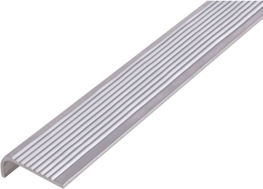 ALBERTS Trapbeschermingslijst Aluminium Natuur 25x2 0x6mm 2m