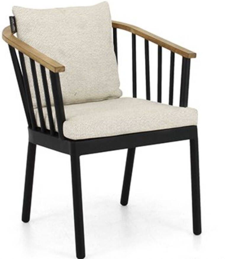 Apple Bee Condor dining armchair 60 alu Black SVLK teak arm Natural Bee Wett seat+ - Foto 3
