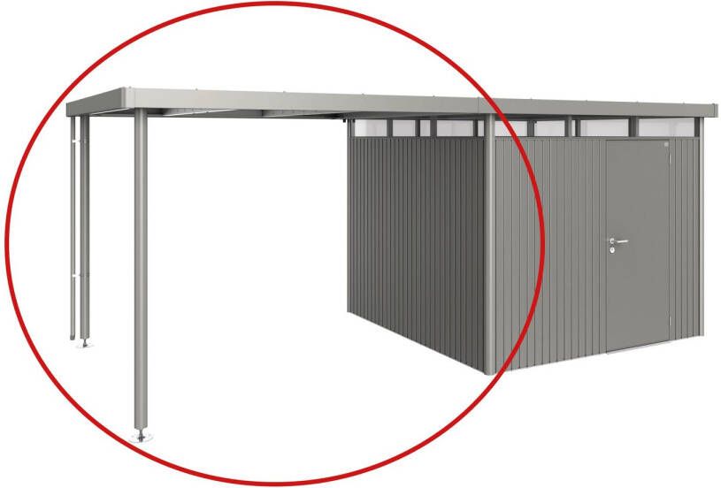 Biohort Afdak Highline H4 Kwartsgrijs Metallic 282x275x222cm