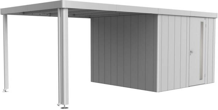 Biohort Overkapping Voor Tuinhuis Neo 3a 3b 3c 3d Zilver Metallic 300x291x220cm