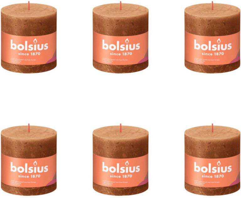 Bolsius Rustiek Stompkaars 100 100 1 Stuk Spice Brown 6 Verpakkingen