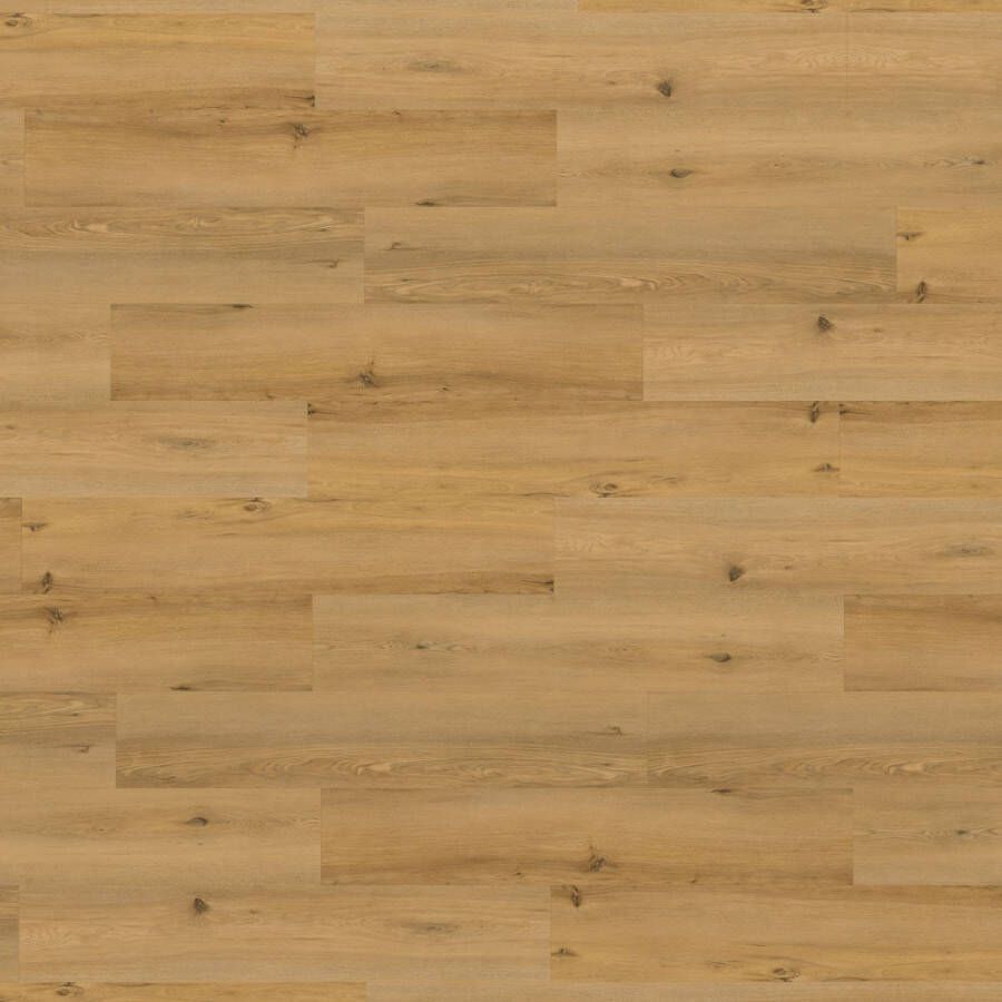 CanDo Pvc-vloer Feel Plank Xb Portugees Eiken 6mm 1 719m²