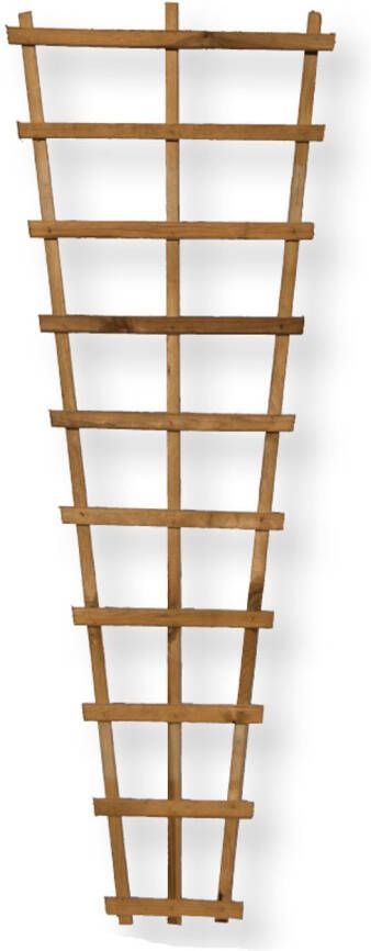 Praxis Trellis V-vorm Grenen 60x2 4x180cm