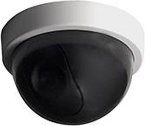 Chacon Dummy Camera Indoor Dome Met Led Lampje Wit