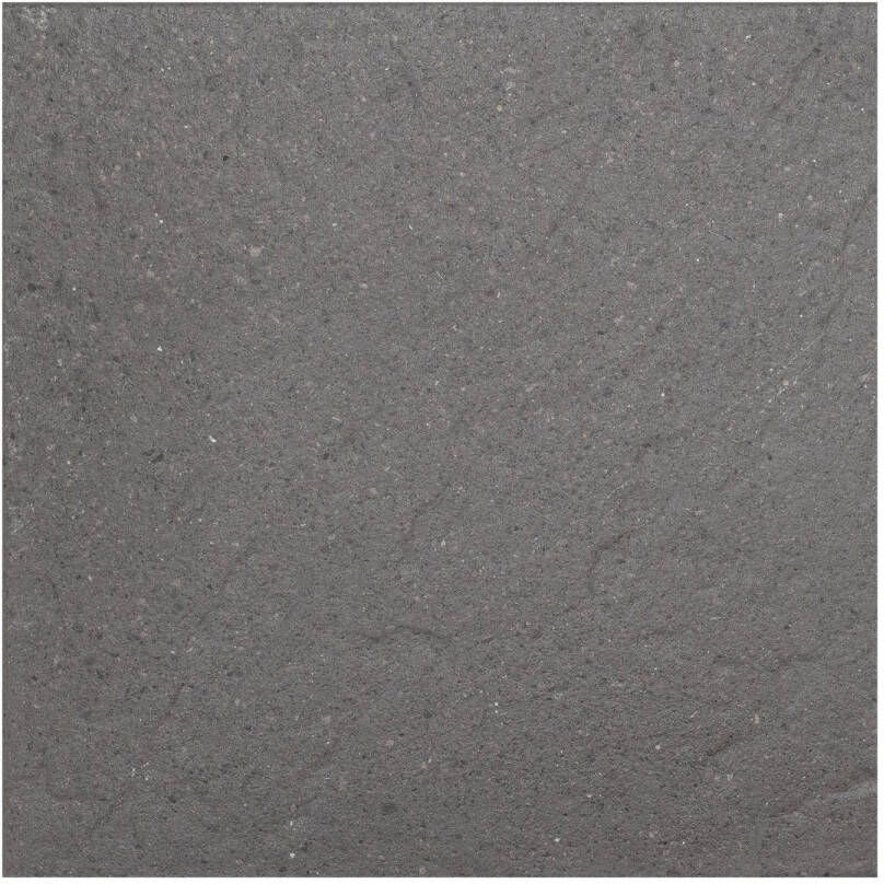 Cobo Garden Terrastegel Brussel Gecoat Beton Leisteen Grijs 40x40x3 7cm