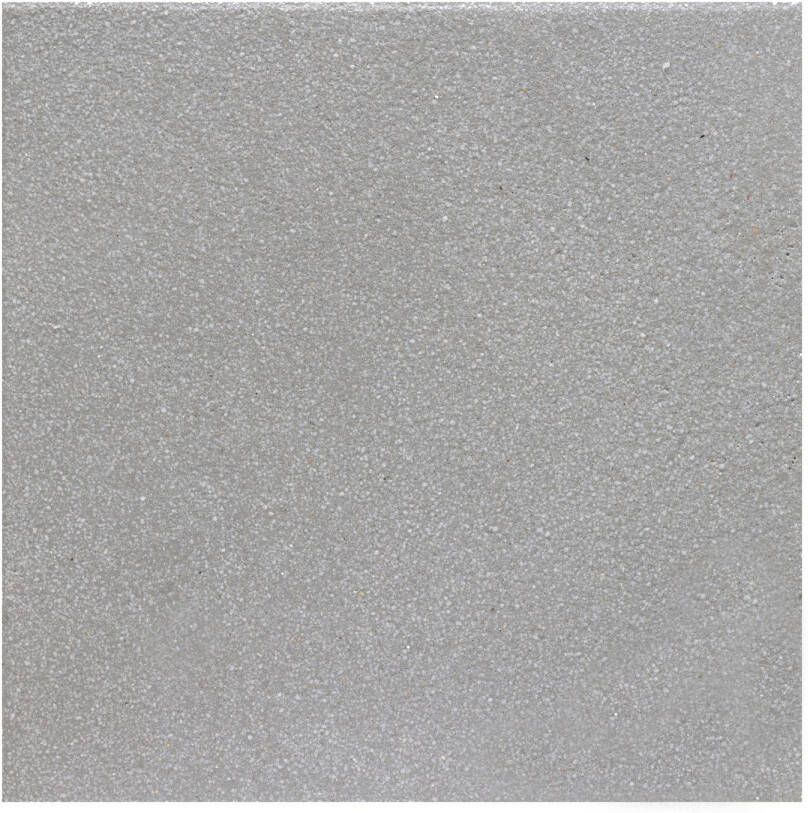 Cobo Garden Terrastegel Oostende Gecoat Beton Lichtgrijs 40x40x3 7cm