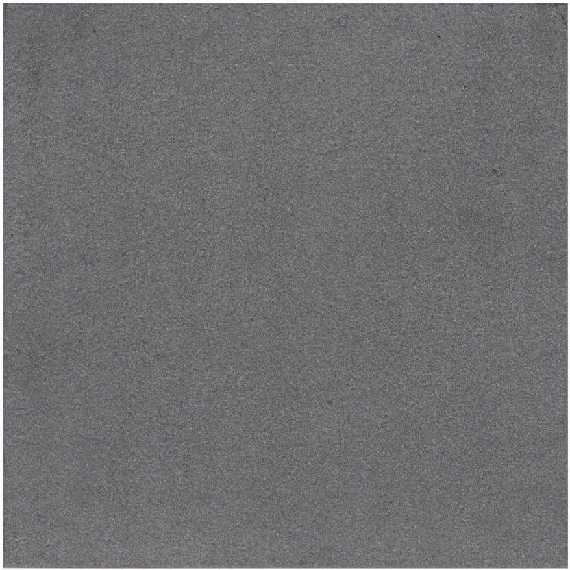 Cobo Garden Terrastegel Oostende Gecoat Beton Lichtgrijs 60x60x4 1cm 0 36m² Per Stuk