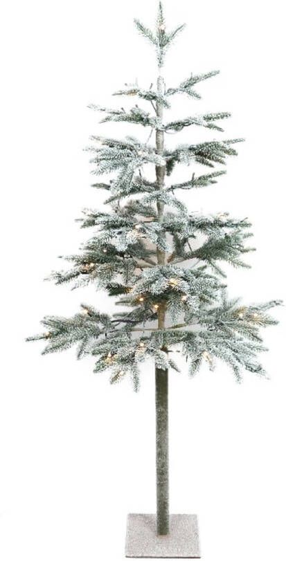 Dijk Natural Collections Wintervalley Trees Kunstkerstboom Gustaf Met Led Verlichting 60x120cm Besneeuwd