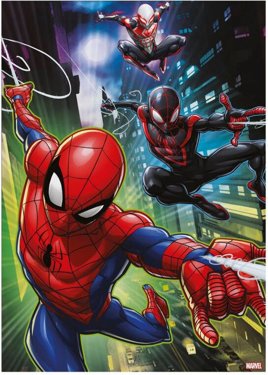 Disney | Marvel Spiderman And Friends Canvas 50x70cm