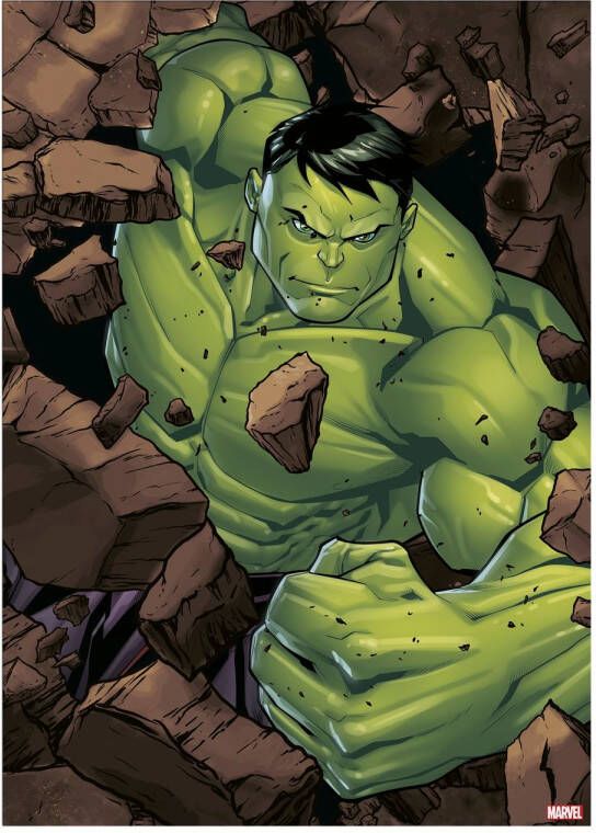 Disney | Marvel The Hulk Canvas 50x70cm