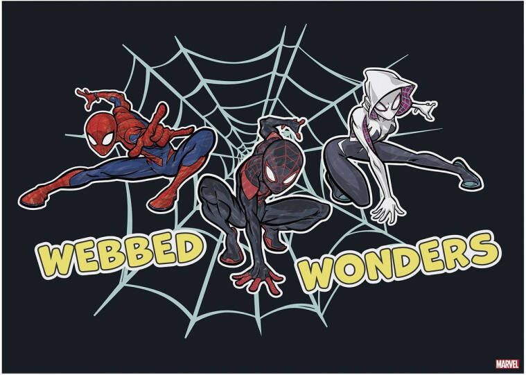 Disney Marvel Webbed Wonders Canvas 50x70 Cm