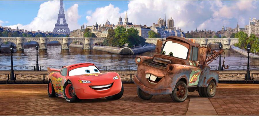 Disney Poster Cars Rood Bruin En Blauw 202 X 90 Cm 600855