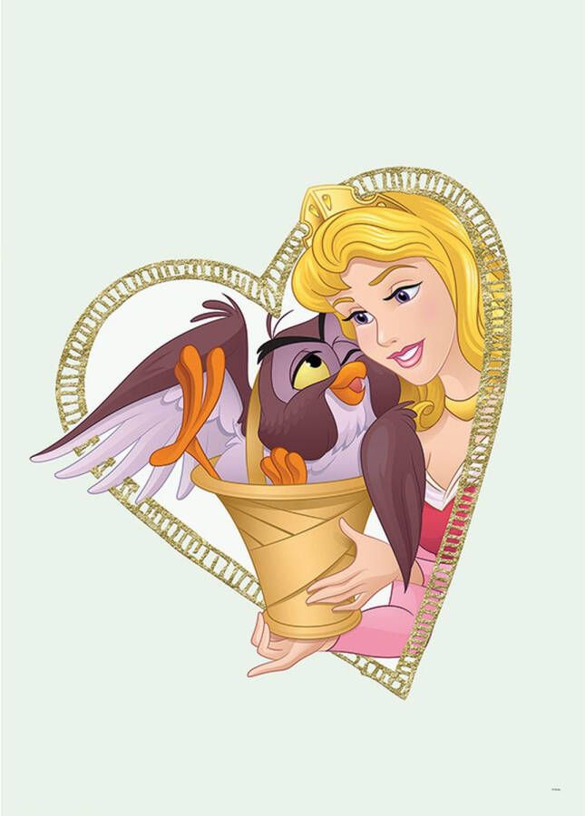 Disney Poster Doornroosje Multicolor 50 X 70 Cm 610169