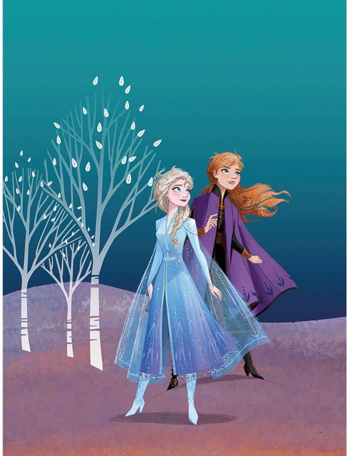 Disney Poster Frozen Anna & Elsa Blauw En Paars 30 X 40 Cm 610152