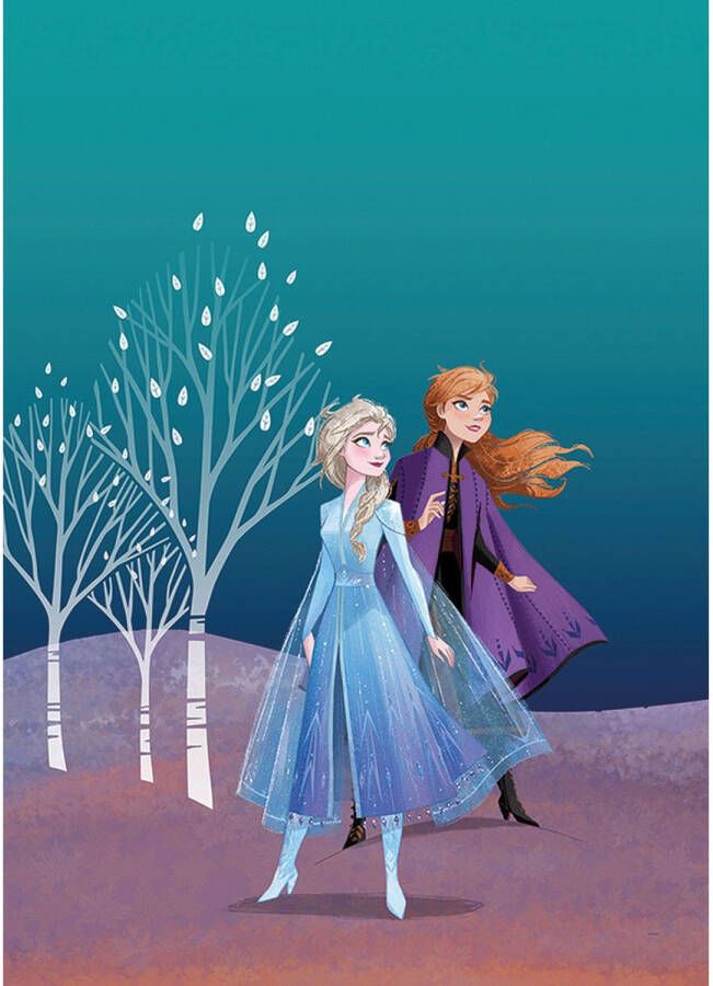 Disney Poster Frozen Anna & Elsa Blauw En Paars 50 X 70 Cm 610154