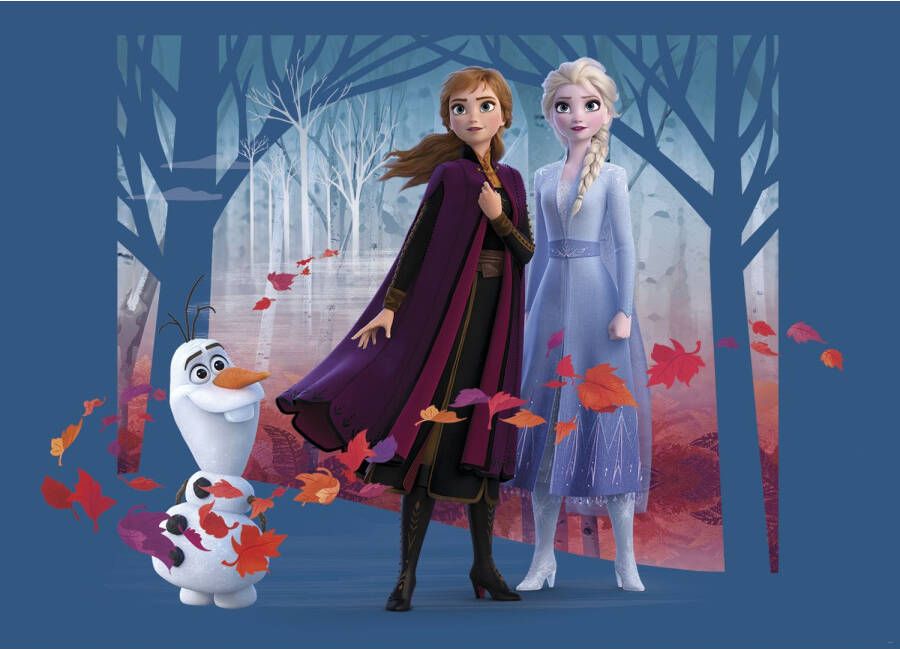 Disney Poster Frozen Anna & Elsa Blauw Paars En Oranje 160 X 110 Cm 600667