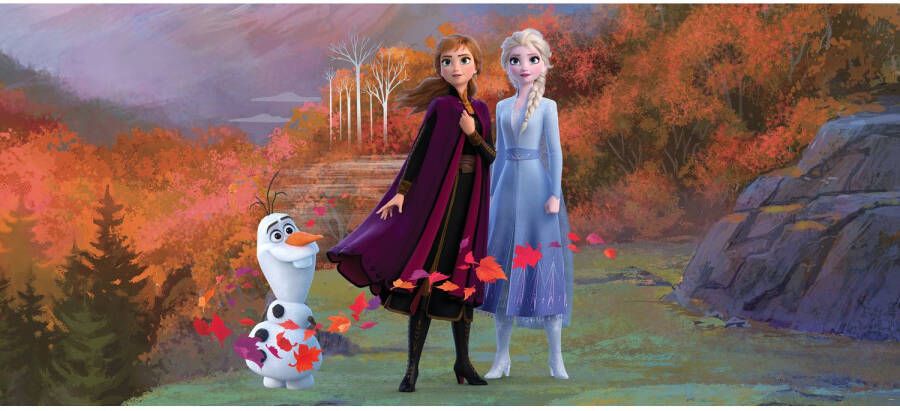 Disney Poster Frozen Anna & Elsa Blauw Paars En Oranje 202 X 90 Cm 600906