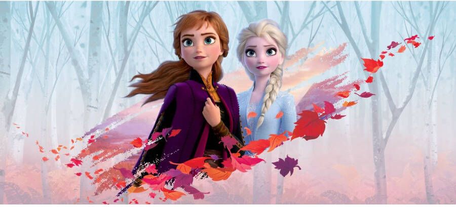 Disney Poster Frozen Anna & Elsa Blauw Paars En Oranje 202 X 90 Cm 600907