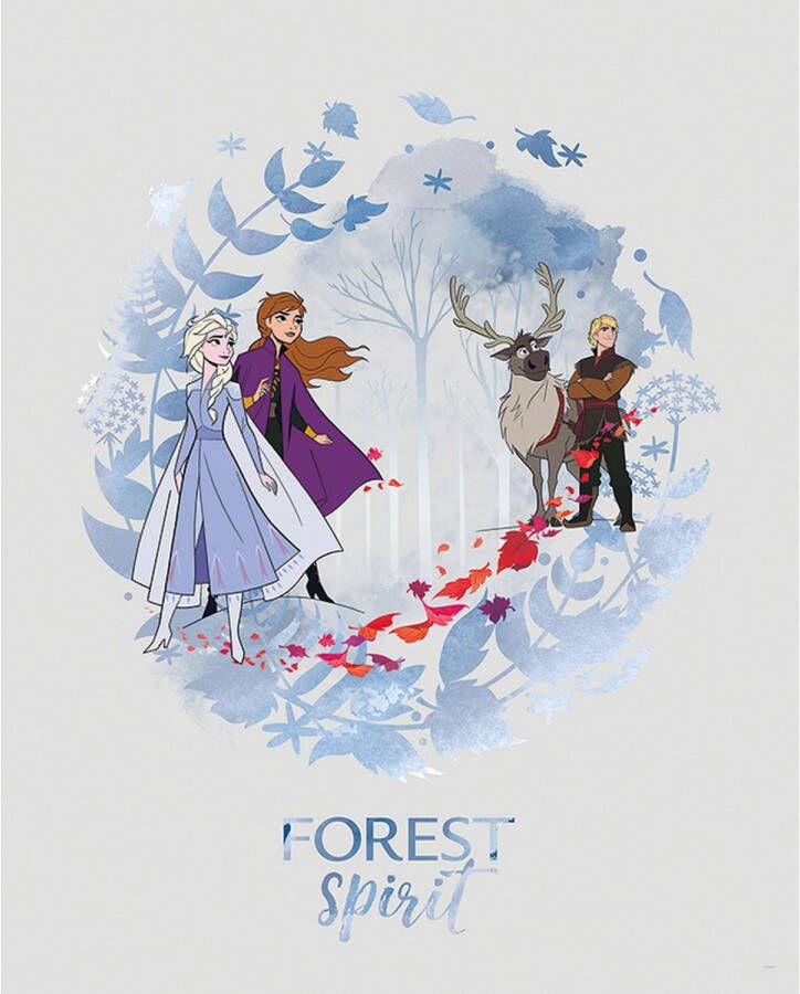 Disney Poster Frozen Blauw 40 X 50 Cm 610144