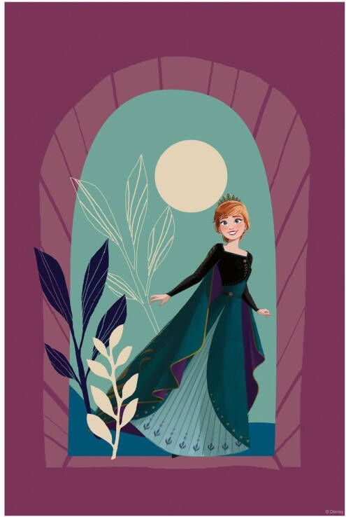 Disney Poster Frozen Middernachtzon Paars 30 Cm X 40 Cm 612834