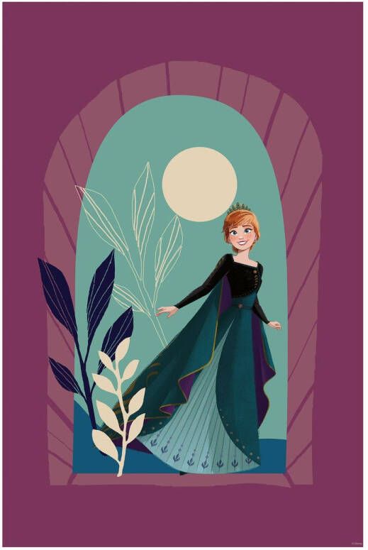 Disney Poster Frozen Middernachtzon Paars 50 Cm X 70 Cm 612836