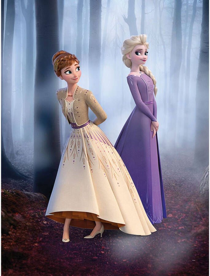 Disney Poster Frozen Multicolor 30 X 40 Cm 610140