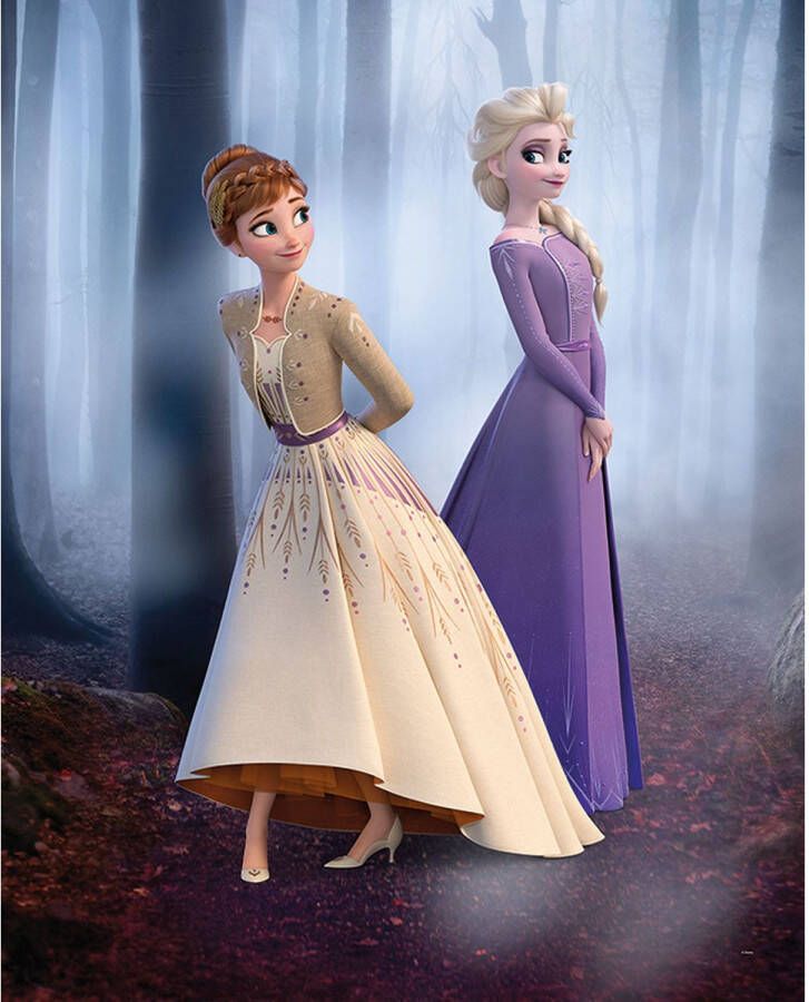 Disney Poster Frozen Multicolor 40 X 50 Cm 610141