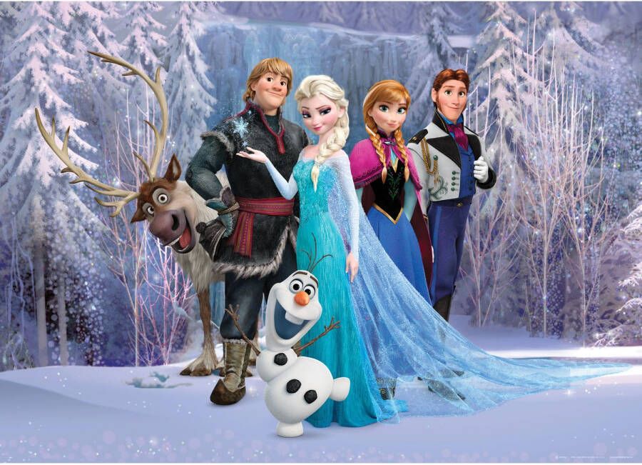 Disney Poster Frozen Paars En Blauw 160 X 110 Cm 600656