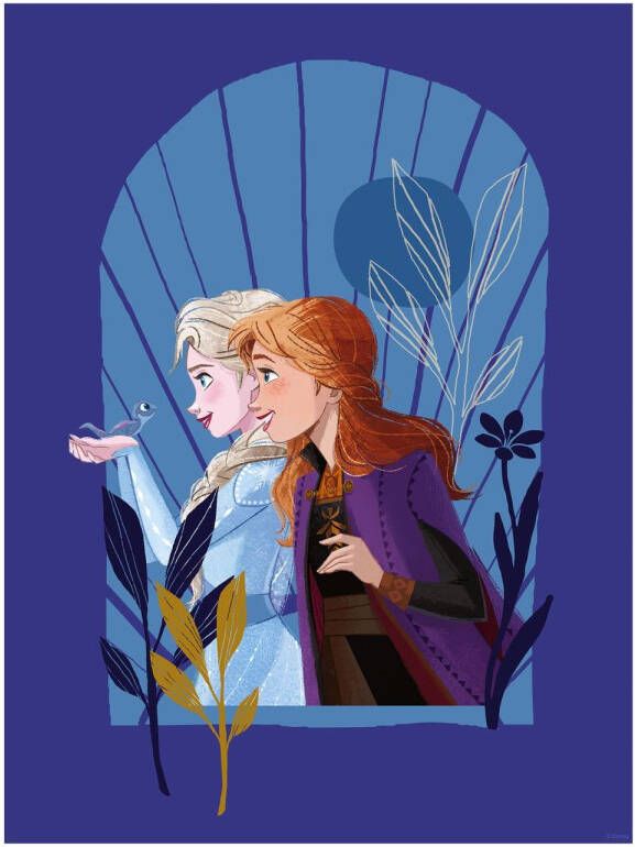 Disney Poster Frozen Spotlijster Paars 40 Cm X 50 Cm 612841