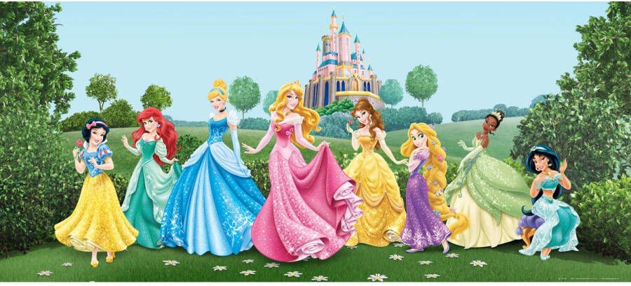 Disney Poster Prinsessen Groen Blauw En Roze 202 X 90 Cm 600873