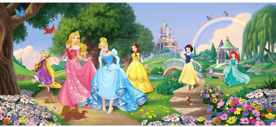 Disney Poster Prinsessen Groen Blauw En Roze 202 X 90 Cm 600897