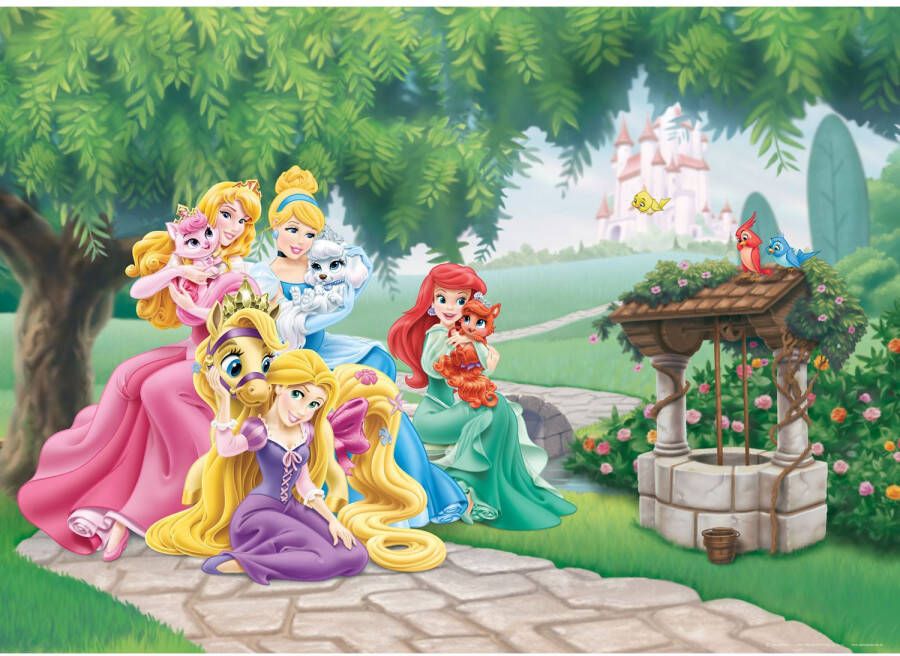 Disney Poster Prinsessen Groen Geel En Roze 160 X 110 Cm 600660