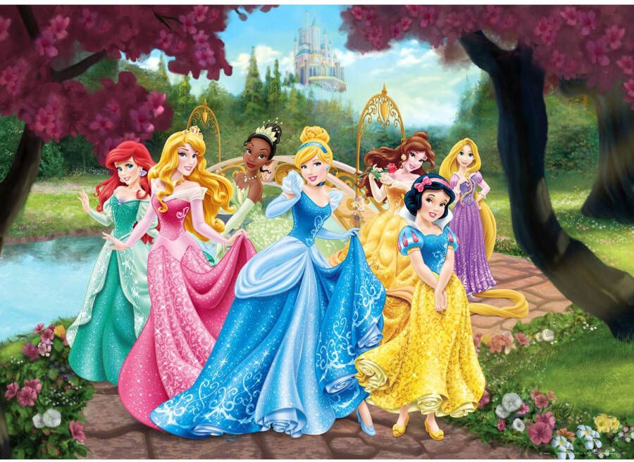 Disney Poster Prinsessen Roze Geel En Blauw 160 X 110 Cm 600655