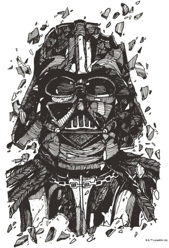 Disney Poster Star Wars Darth Vader Zwart Wit 30 X 40 Cm 612189