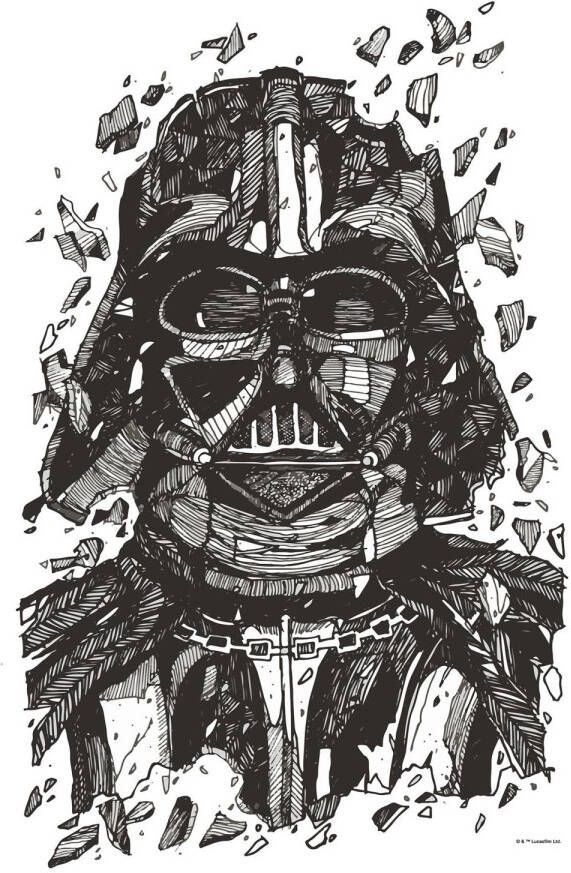 Disney Poster Star Wars Darth Vader Zwart Wit 50 X 70 Cm 612191