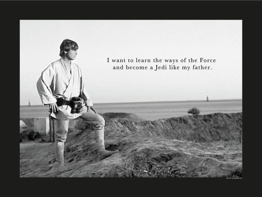 Disney Poster Star Wars Luke Skywalker Zwart Wit 40 X 30 Cm 610257