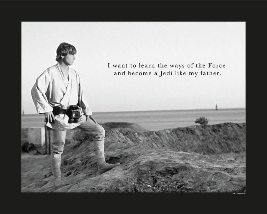 Disney Poster Star Wars Luke Skywalker Zwart Wit 50 X 40 Cm 610258