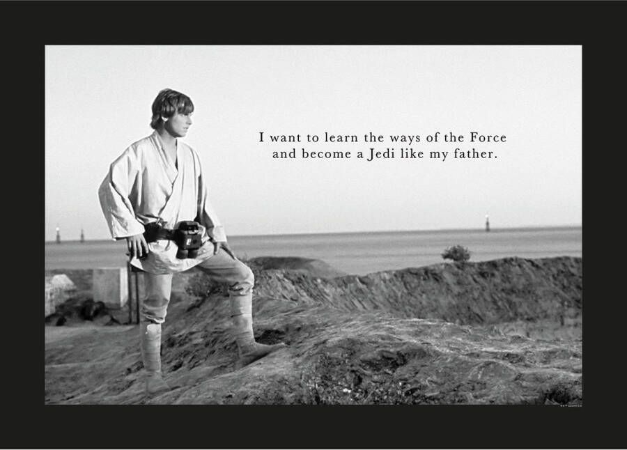 Disney Poster Star Wars Luke Skywalker Zwart Wit 70 X 50 Cm 610259