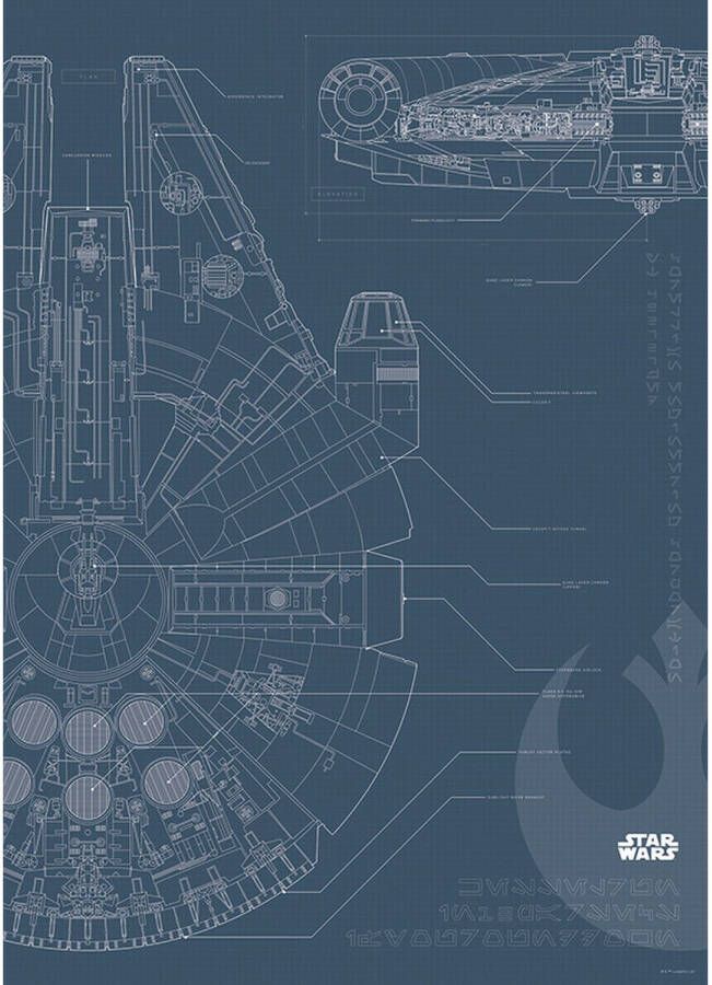 Disney Poster Star Wars Millenium Falcon Donkerblauw 50 X 70 Cm 610271