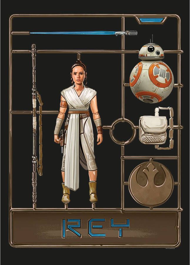 Disney Poster Star Wars Rey Bruin 50 X 70 Cm 610283