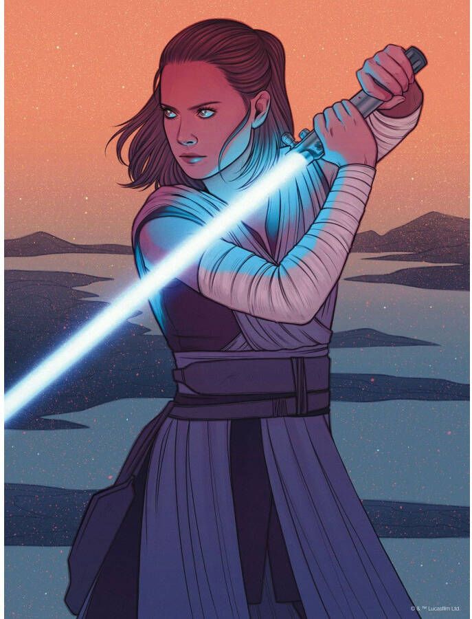 Disney Poster Star Wars Rey Oranje En Grijs 30 Cm X 40 Cm 612870