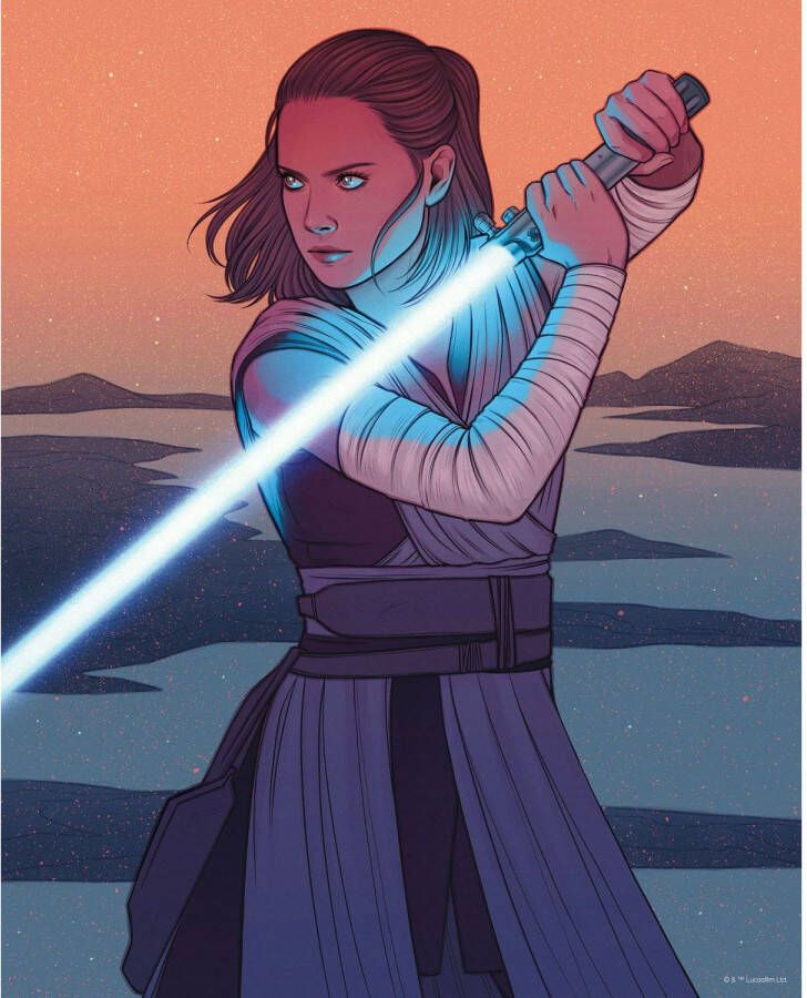 Disney Poster Star Wars Rey Oranje En Grijs 40 Cm X 50 Cm 612871