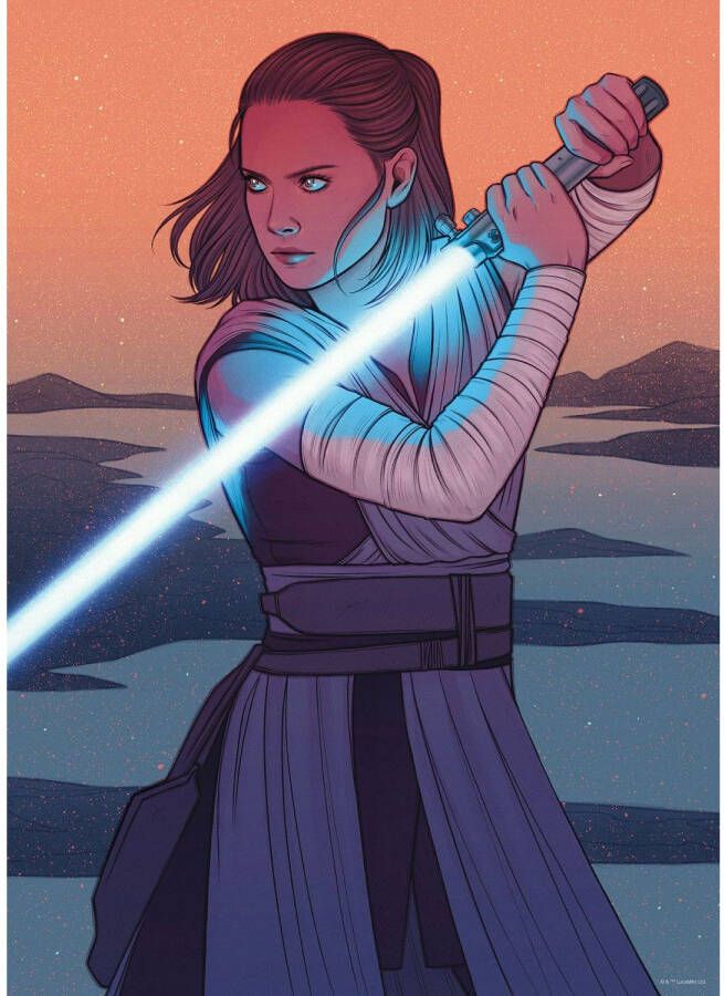 Disney Poster Star Wars Rey Oranje En Grijs 50 Cm X 70 Cm 612872