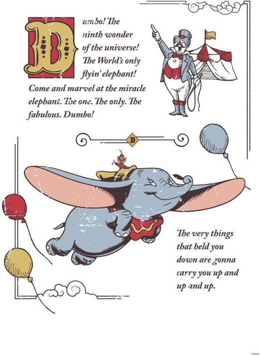 Disney Vlies Op Frame Dumbo De Vliegende Olifant Wit 40 Cm X 60 Cm 612811