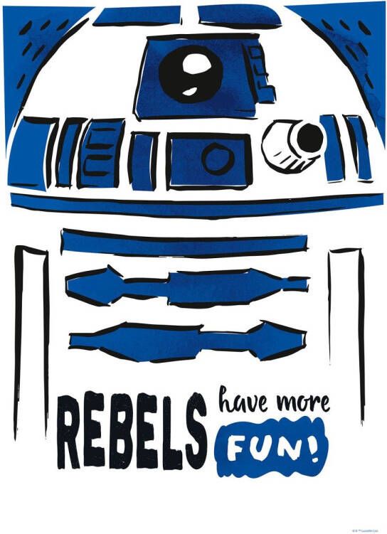 Disney Vlies Op Frame Star Wars R2d2 Wit En Blauw 40 Cm X 60 Cm 612821