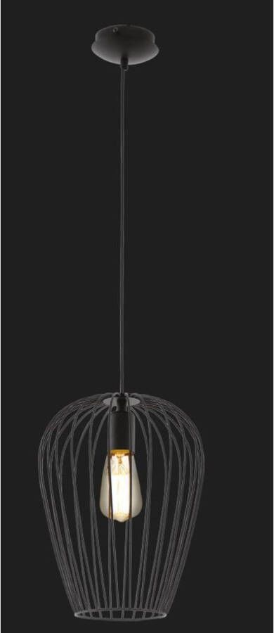 EGLO Hanglamp Newton Zwart ⌀27 5cm E27