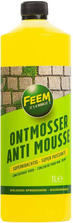 FEEM Ontmosser Groene Aanslagreiniger 1l