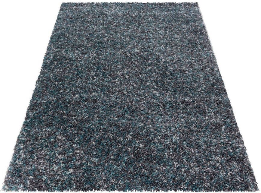 Flycarpets Hoogpolig Vloerkleed Lorium Gemeleerd Blauw grijs crème 120 X 170 Cm