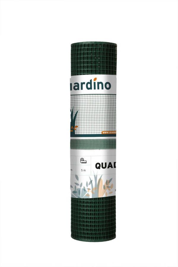 Giardino Plastiek Gaas Quadra 50cmx5m Ral 6005 Groen